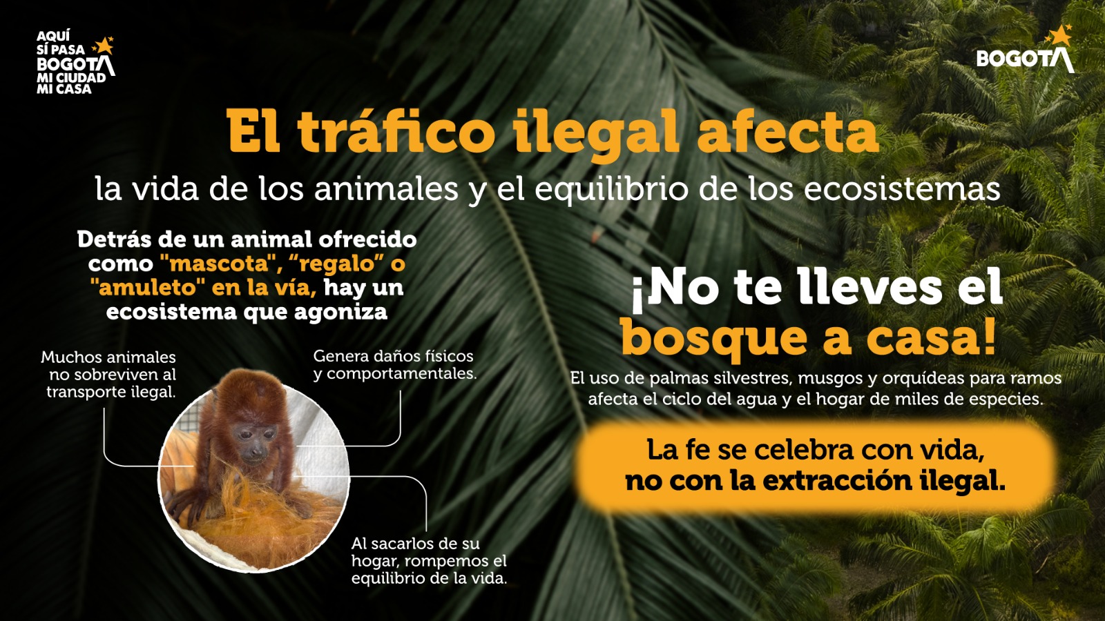 Tráfico ilegal - Equilibrio de los ecosistemas